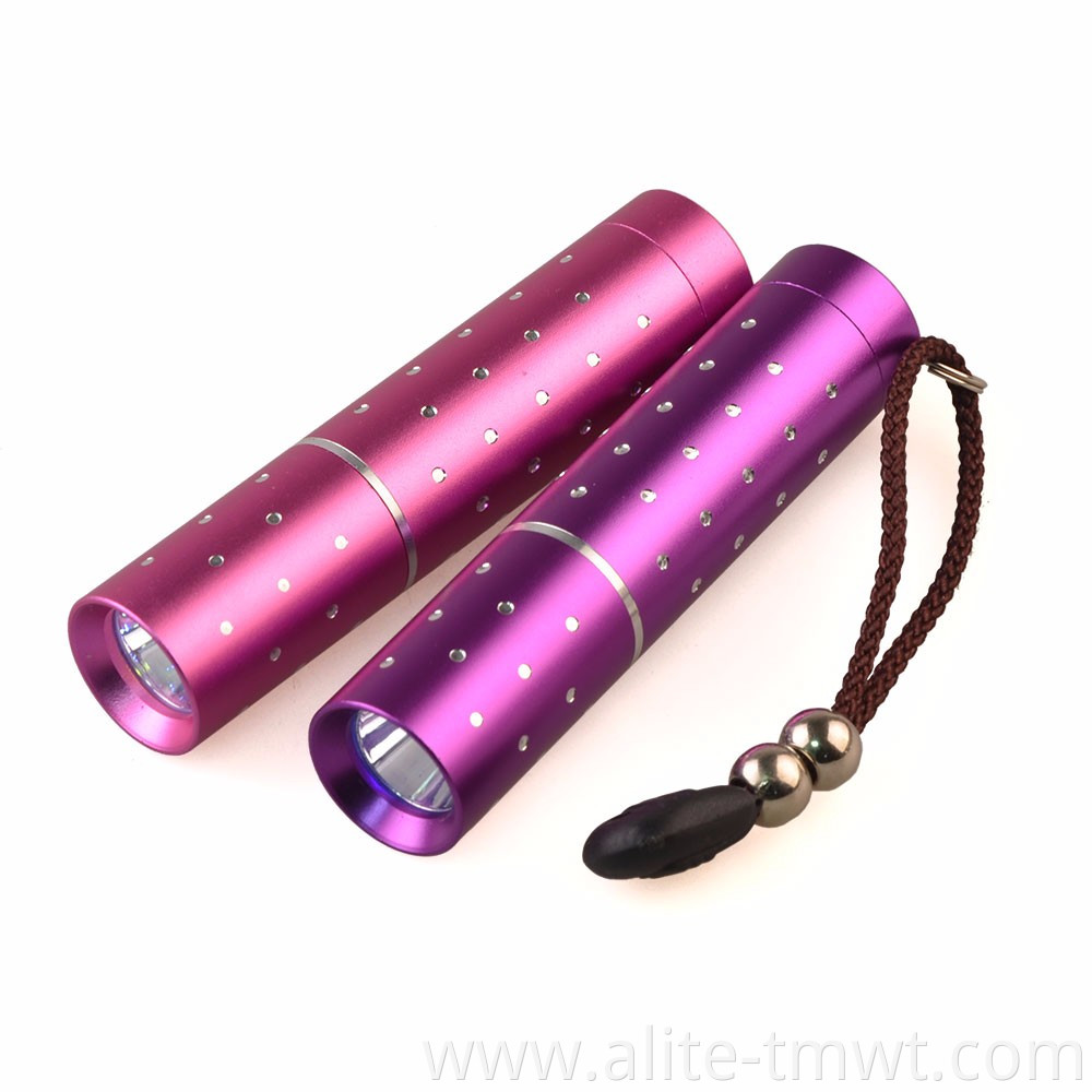 Mini Pocket Flashlight Torch Black Light LED Purple Light 365nm UV Lamp